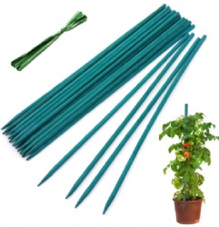 Dyeing Green Bamboo Sticks