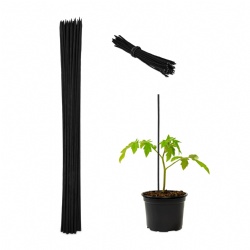 🌿🖤 Elevate Your Garden with Black Bamboo Plant Stakes 🖤🌿