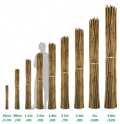 🎋 Versatile Bamboo Poles for All Your Projects🎋