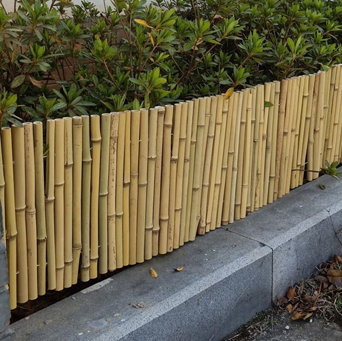 Bamboo Fence For Garden