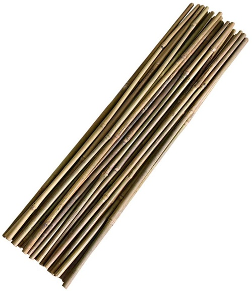 Eco-Friendly Bamboo Poles for Garden, Construction, and Decorative Use | Sustainable Bamboo Canes