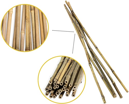All-Natural, Sustainable Bamboo Garden Canes