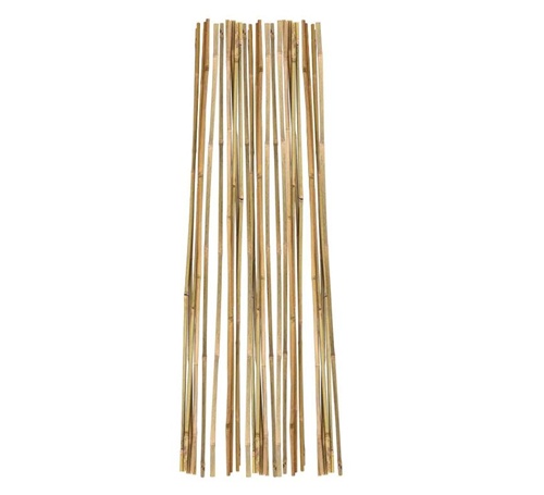All-Natural, Sustainable Bamboo Garden Canes