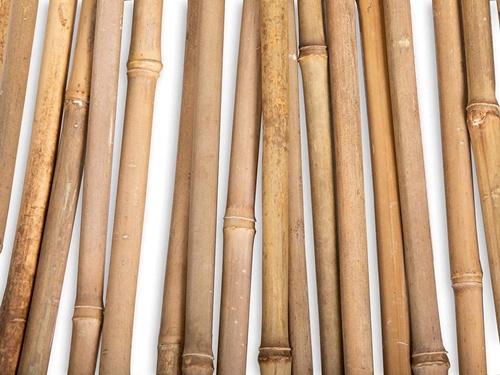 All-Natural, Sustainable Bamboo Garden Canes