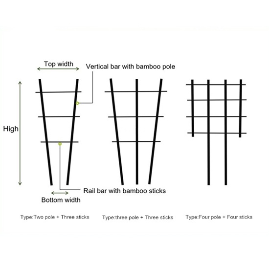 Sustainable Fan-Shaped Bamboo Trellis: Functional Garden Support for Beautiful Growth