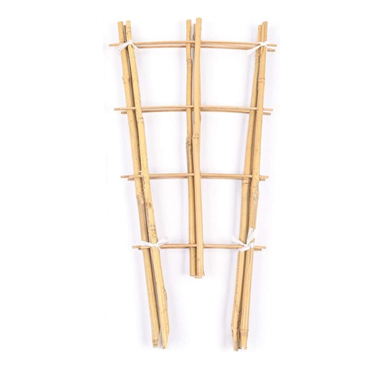 Sustainable Fan-Shaped Bamboo Trellis: Functional Garden Support for Beautiful Growth