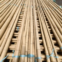 KingNote Decorative Bamboo Canes: Sustainable and Versatile for Design and Outdoor Projects