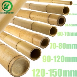 High-Grade Natural Moso Bamboo Poles for Versatile Uses in Construction and Decoration | Available in Lengths up to 550cm and Diameters from 25mm to 150mm