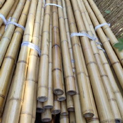 Versatile and Eco-Friendly Treated Bamboo Poles for Any Outdoor Setting | Ideal for Construction, Landscaping, and Decorative Purposes