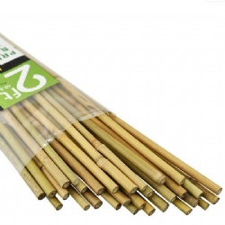 Durable Garden Bamboo Stakes for Plant Support - Eco-Friendly Bamboo Canes for Gardening