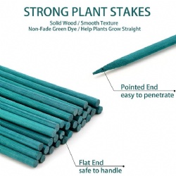 Color-Dyed Green Bamboo Sticks – Sustainable and Strong Plant Stakes for Garden & DIY Projects