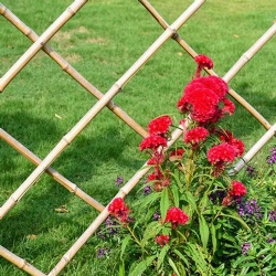 Expanding Natural Bamboo Trellis For Garden