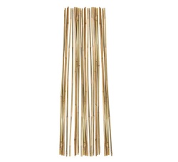 All-Natural, Sustainable Bamboo Garden Canes