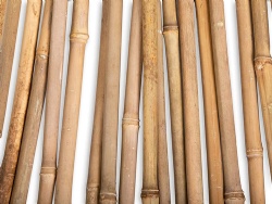 All-Natural, Sustainable Bamboo Garden Canes