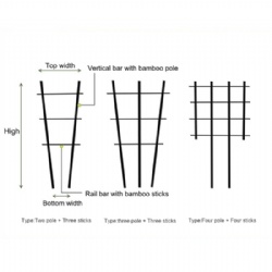 Sustainable Fan-Shaped Bamboo Trellis: Functional Garden Support for Beautiful Growth