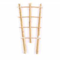 Sustainable Fan-Shaped Bamboo Trellis: Functional Garden Support for Beautiful Growth