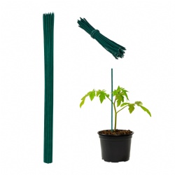 Enhance Your Garden's Structure with Eco-Friendly Green Bamboo Flower Support Sticks for Climbing Plants | Perfect for Tomatoes, Beans, and Indoor Potted Plants