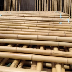 KingNote Premium Decorative Bamboo Canes for Elegant Design and Versatile Applications